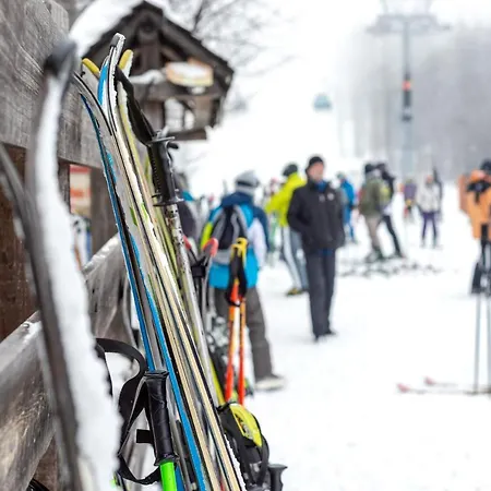 Gora Premium - Stara Planina * Balta Berilovac