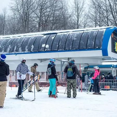Gora Premium - Stara Planina * Balta Berilovac